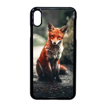 Autumn Fox őszi róka iPhone Xs Max tok