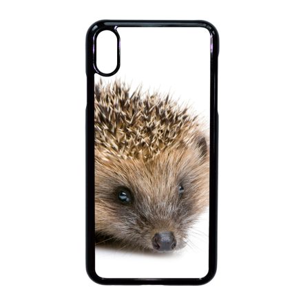 Cukis süni sündisznós őszi iPhone Xs Max tok