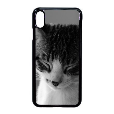Tüneményes Cica iPhone Xs Max tok