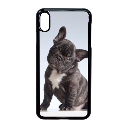 Tündéri Francia bulldog iPhone Xs Max tok
