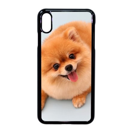 Pomerániai spitz - Akarsz játszani iPhone Xs Max tok