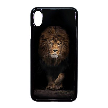 Oroszlankiraly Lion King Wild Beauty Csajos iPhone Xs Max tok