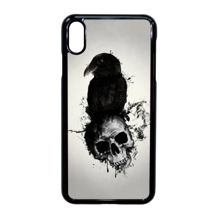 Raven & Skull - Vikings iPhone Xs Max tok