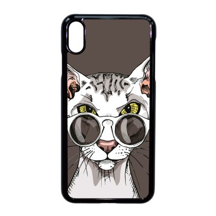 Hipster Szfinx cicus iPhone Xs Max tok