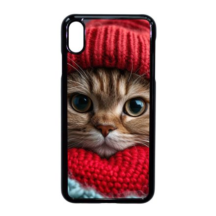 Cuki vörös cica piros sapkában iPhone Xs Max tok