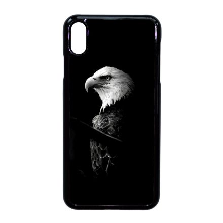 Sas iPhone Xs Max tok