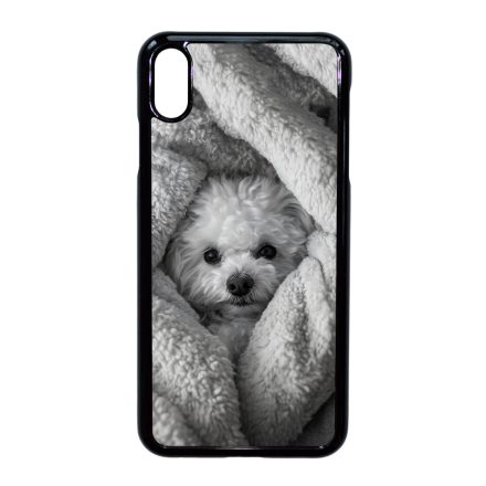 Bolognese iPhone Xs Max tok