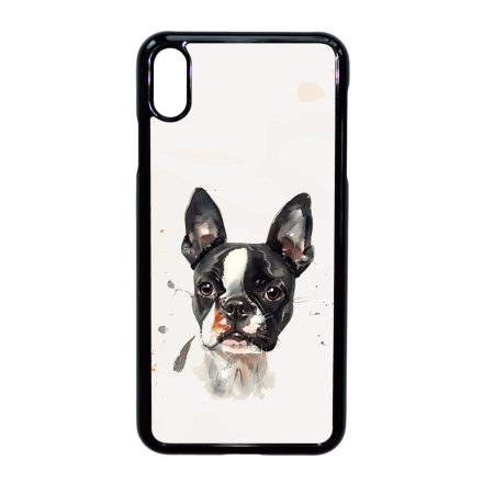 Boston Terrier 2 iPhone Xs Max tok