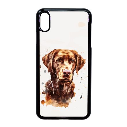 Göndörszőrű retriever iPhone Xs Max tok