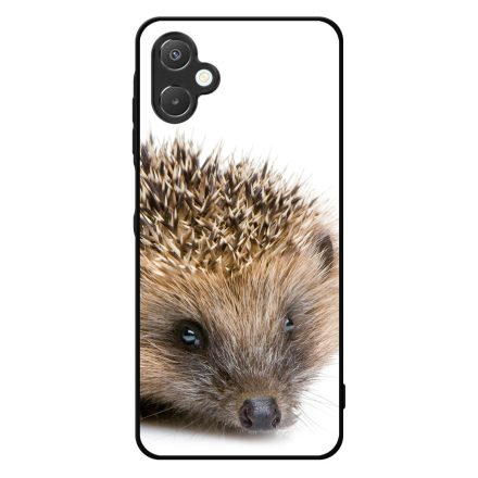 Cukis süni sündisznós őszi Samsung Galaxy A06 tok