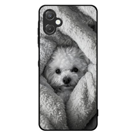 Bolognese Samsung Galaxy A06 tok