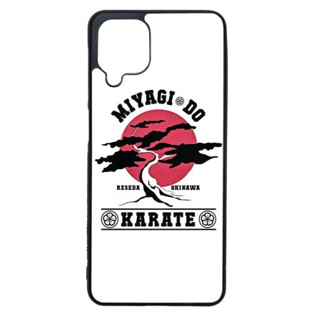 Miyagi Do Karate Samsung Galaxy A12 tok