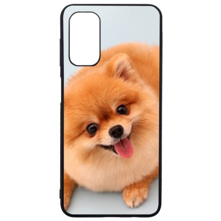 Pomerániai spitz - Akarsz játszani Samsung Galaxy A13 5G tok