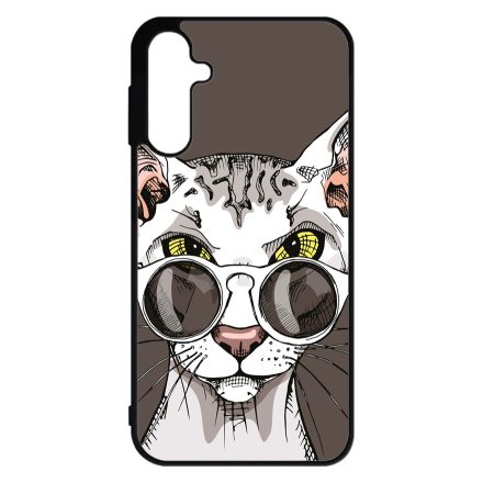 Hipster Szfinx cicus Samsung Galaxy A15 4G/5G tok