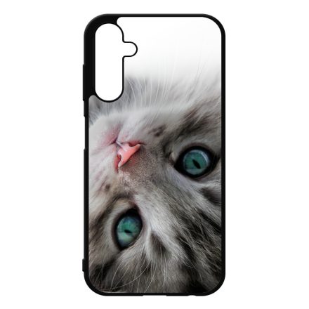 cica cicás macskás Samsung Galaxy A25 5G tok