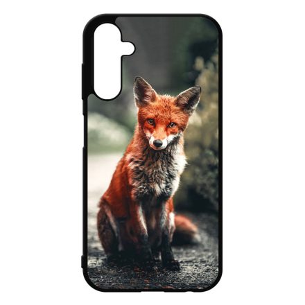Autumn Fox őszi róka Samsung Galaxy A25 5G tok