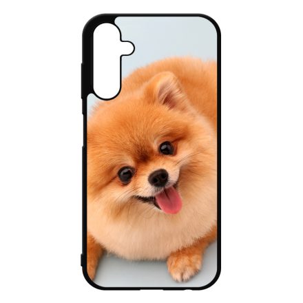 Pomerániai spitz - Akarsz játszani Samsung Galaxy A25 5G tok