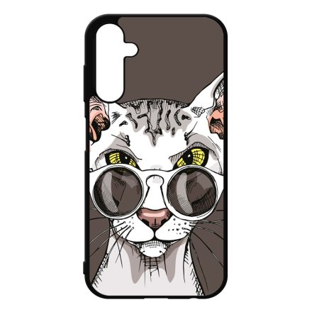 Hipster Szfinx cicus Samsung Galaxy A25 5G tok