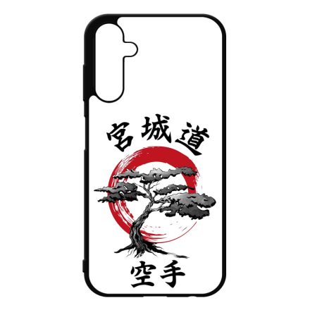 Classic Miyagi Do Samsung Galaxy A25 5G tok