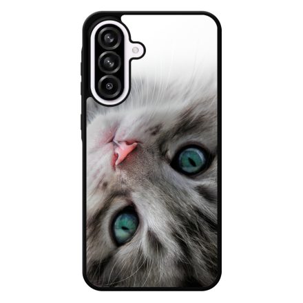 cica cicás macskás Samsung Galaxy A56 tok