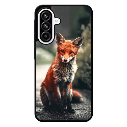 Autumn Fox őszi róka Samsung Galaxy A56 tok