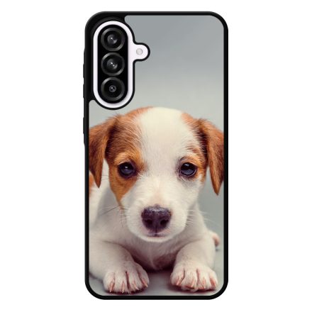 Angyali Jack Russel Terrier kis kutya Samsung Galaxy A56 tok