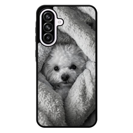 Bolognese Samsung Galaxy A56 tok