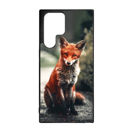 Autumn Fox őszi róka Samsung Galaxy S22 Ultra tok