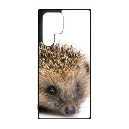 Cukis süni sündisznós őszi Samsung Galaxy S22 Ultra tok