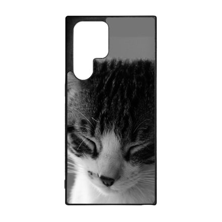 Tüneményes Cica Samsung Galaxy S22 Ultra tok