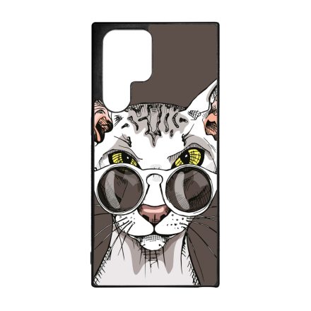Hipster Szfinx cicus Samsung Galaxy S22 Ultra tok