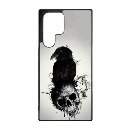 Raven & Skull - Vikings Samsung Galaxy S23 Ultra tok