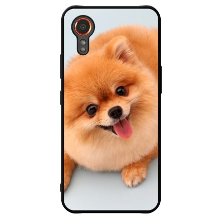 Pomerániai spitz - Akarsz játszani Samsung Galaxy Xcover 7 tok