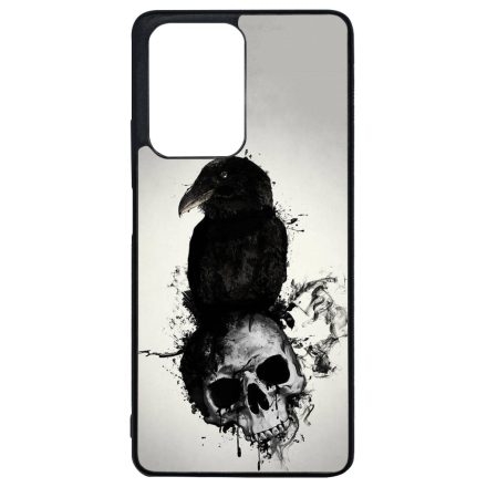 Raven & Skull - Vikings Xiaomi 11T/11T Pro tok