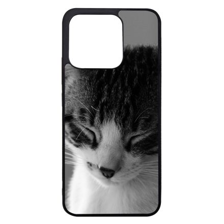 Tüneményes Cica Xiaomi Mi 13 tok