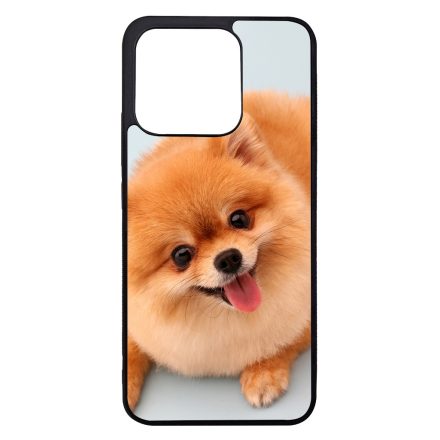 Pomerániai spitz - Akarsz játszani Xiaomi Mi 13 tok