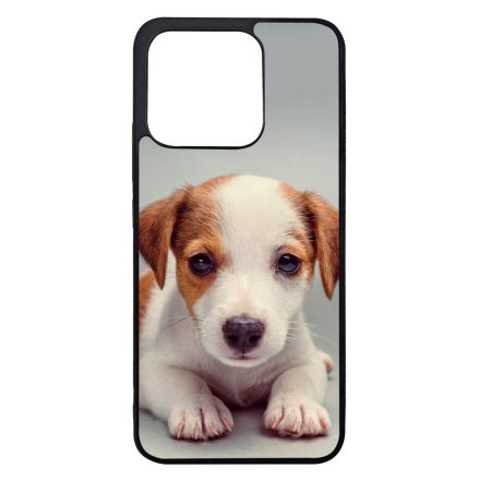 Angyali Jack Russel Terrier kis kutya Xiaomi Mi 13 tok