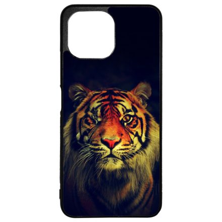 tigris tigrises tiger Xiaomi Mi 11 Lite tok