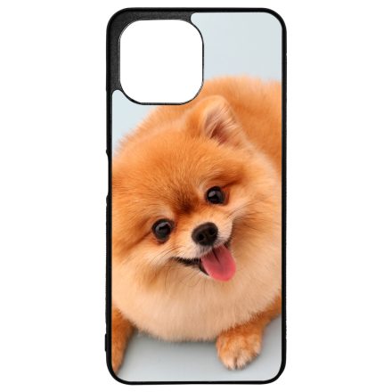 Pomerániai spitz - Akarsz játszani Xiaomi Mi 11 Lite tok
