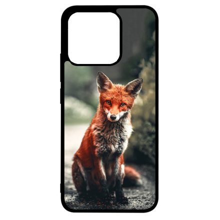 Autumn Fox őszi róka Xiaomi Mi 13T / 13T Pro tok
