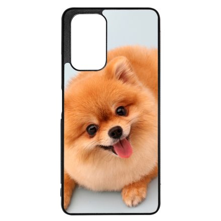Pomerániai spitz - Akarsz játszani Xiaomi Redmi Note 12 Pro 5G tok