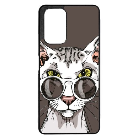 Hipster Szfinx cicus Xiaomi Redmi Note 12 Pro 5G tok